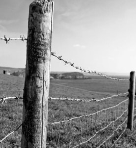A Father and a Fencepost